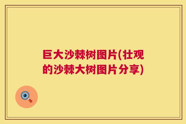巨大沙棘树图片(壮观的沙棘大树图片分享)