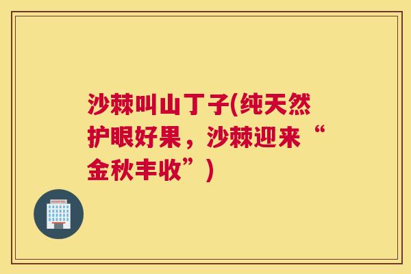 沙棘叫山丁子(纯天然护眼好果，沙棘迎来“金秋丰收”)