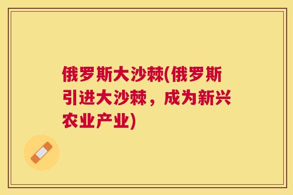俄罗斯大沙棘(俄罗斯引进大沙棘，成为新兴农业产业)