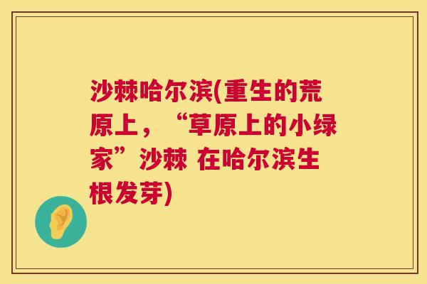 沙棘哈尔滨(重生的荒原上，“草原上的小绿家”沙棘 在哈尔滨生根发芽)