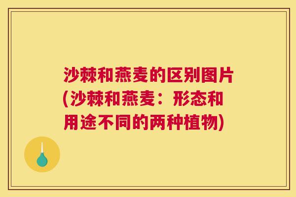 沙棘和燕麦的区别图片(沙棘和燕麦：形态和用途不同的两种植物)