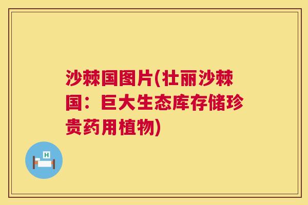 沙棘国图片(壮丽沙棘国：巨大生态库存储珍贵药用植物)