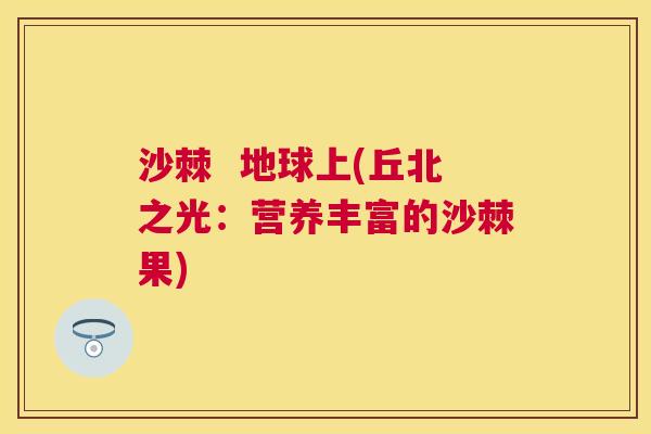 沙棘  地球上(丘北之光：营养丰富的沙棘果)