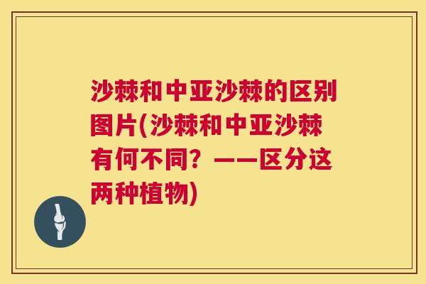 沙棘和中亚沙棘的区别图片(沙棘和中亚沙棘有何不同?——区分这两种植物)
