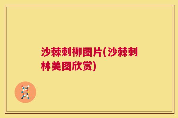 沙棘刺柳图片(沙棘刺林美图欣赏)