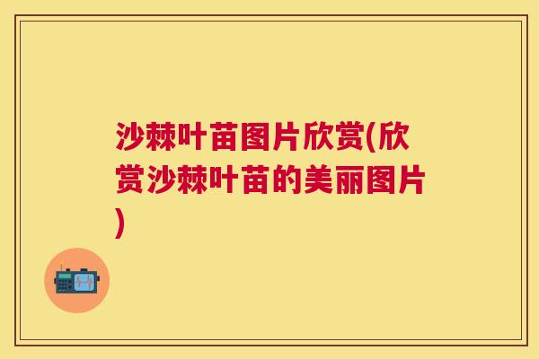 沙棘叶苗图片欣赏(欣赏沙棘叶苗的美丽图片)