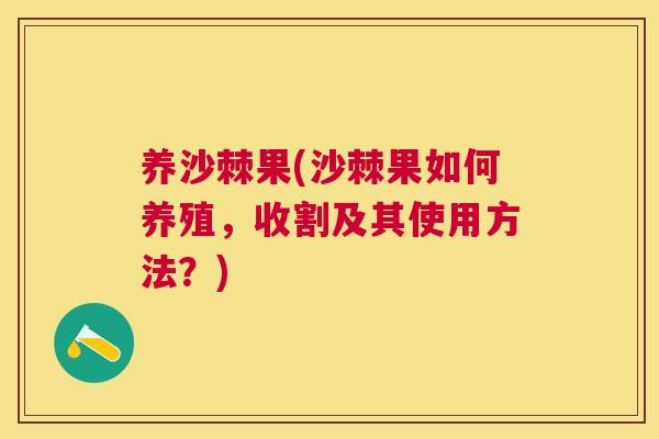 养沙棘果(沙棘果如何养殖，收割及其使用方法？)