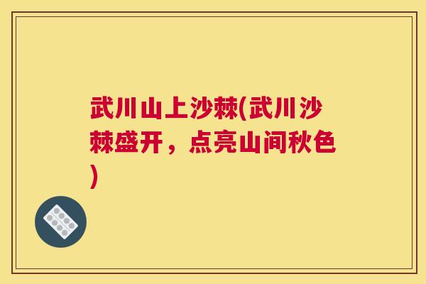 武川山上沙棘(武川沙棘盛开，点亮山间秋色)