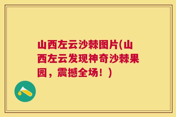 山西左云沙棘图片(山西左云发现神奇沙棘果园，震撼全场！)