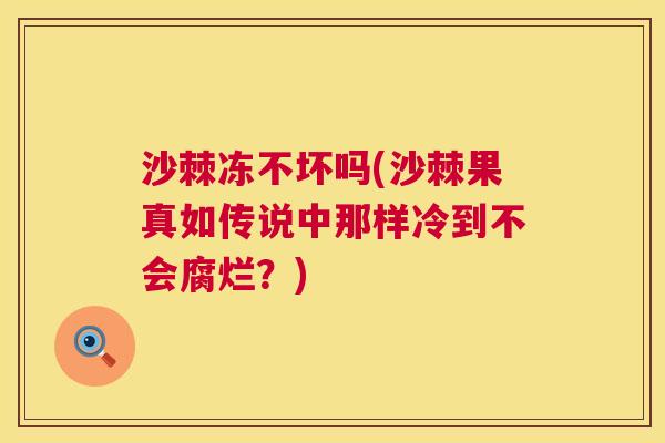 沙棘冻不坏吗(沙棘果真如传说中那样冷到不会腐烂？)
