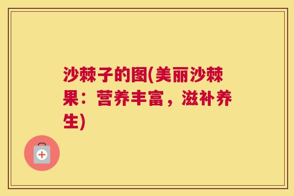 沙棘子的图(美丽沙棘果：营养丰富，滋补养生)
