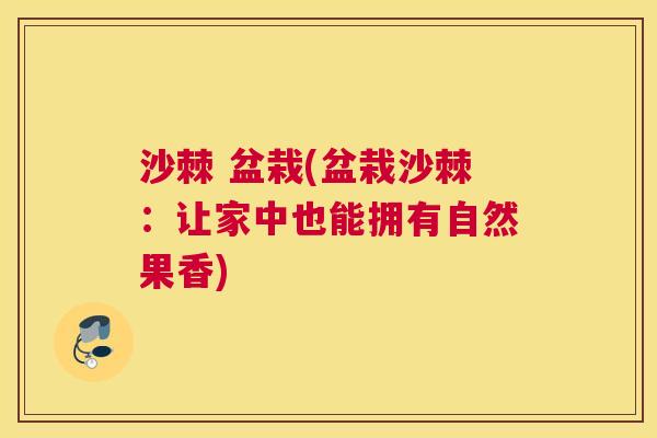 沙棘 盆栽(盆栽沙棘：让家中也能拥有自然果香)
