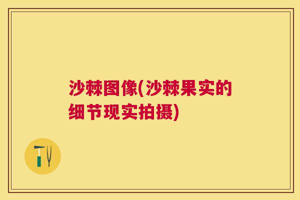 沙棘图像(沙棘果实的细节现实拍摄)