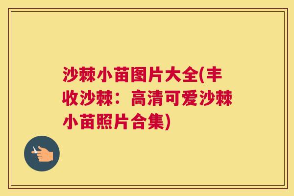 沙棘小苗图片大全(丰收沙棘：高清可爱沙棘小苗照片合集)