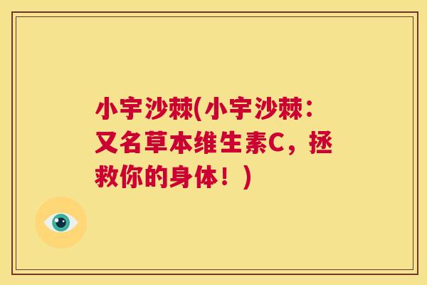 小宇沙棘(小宇沙棘：又名草本维生素C，拯救你的身体！)