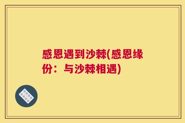 感恩遇到沙棘(感恩缘份：与沙棘相遇)