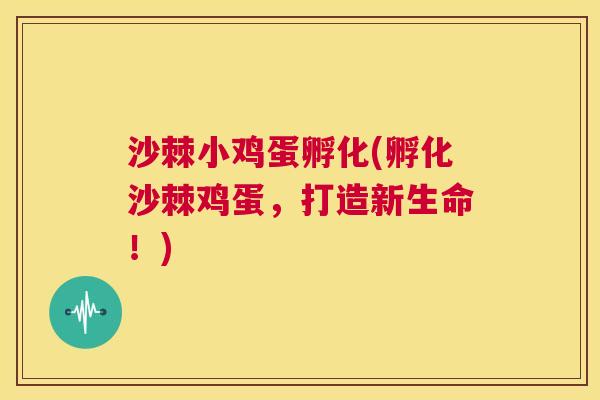 沙棘小鸡蛋孵化(孵化沙棘鸡蛋，打造新生命！)