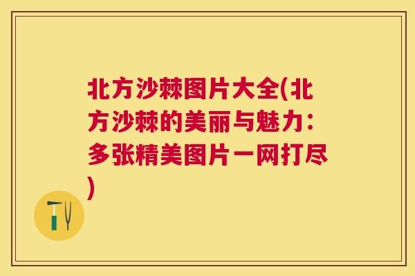 北方沙棘图片大全(北方沙棘的美丽与魅力：多张精美图片一网打尽)