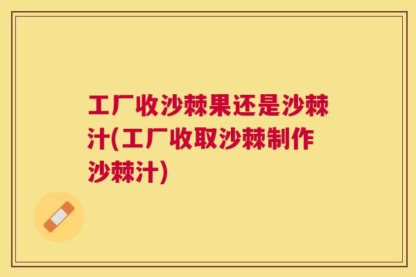 工厂收沙棘果还是沙棘汁(工厂收取沙棘制作沙棘汁)