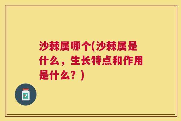 沙棘属哪个(沙棘属是什么，生长特点和作用是什么？)