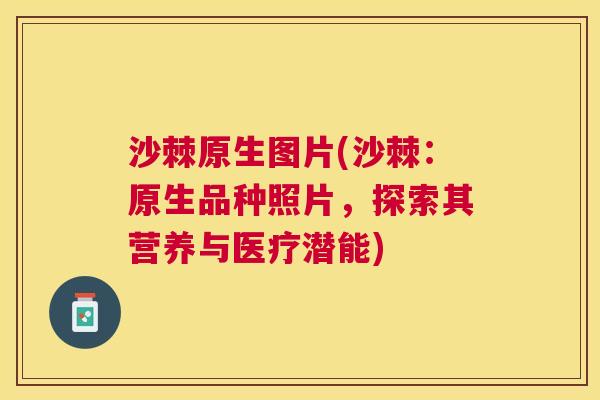 沙棘原生图片(沙棘：原生品种照片，探索其营养与医疗潜能)