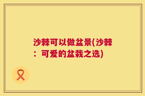 沙棘可以做盆景(沙棘：可爱的盆栽之选)