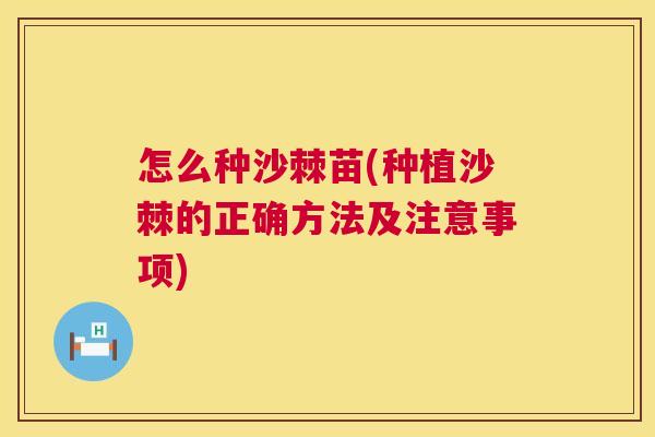 怎么种沙棘苗(种植沙棘的正确方法及注意事项)