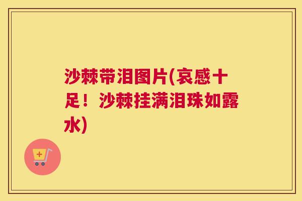 沙棘带泪图片(哀感十足！沙棘挂满泪珠如露水)