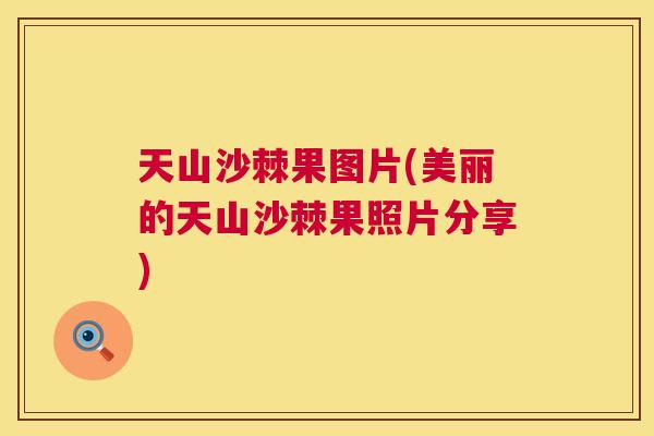 天山沙棘果图片(美丽的天山沙棘果照片分享)