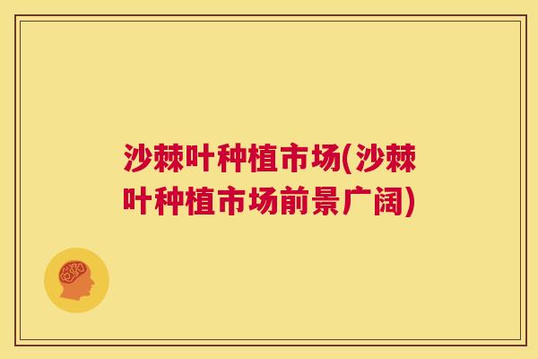 沙棘叶种植市场(沙棘叶种植市场前景广阔)