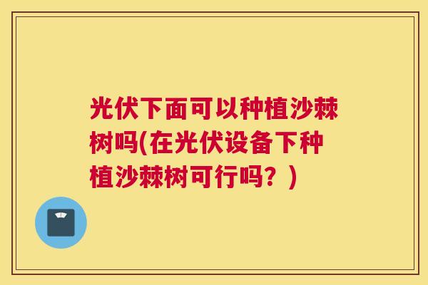 光伏下面可以种植沙棘树吗(在光伏设备下种植沙棘树可行吗？)
