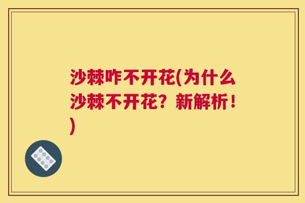 沙棘咋不开花(为什么沙棘不开花？新解析！)