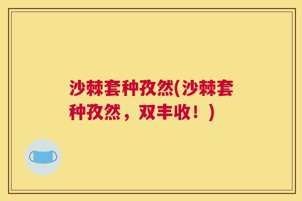 沙棘套种孜然(沙棘套种孜然，双丰收！)