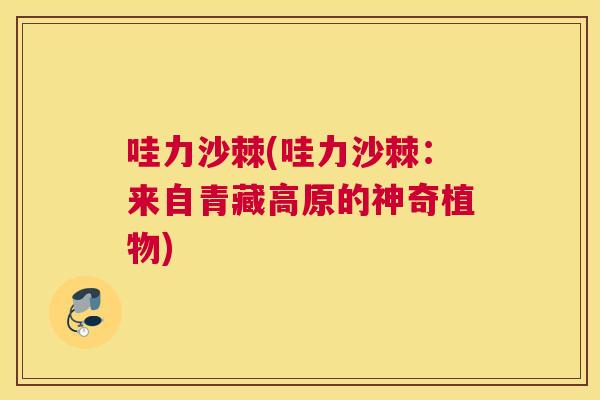 哇力沙棘(哇力沙棘：来自青藏高原的神奇植物)