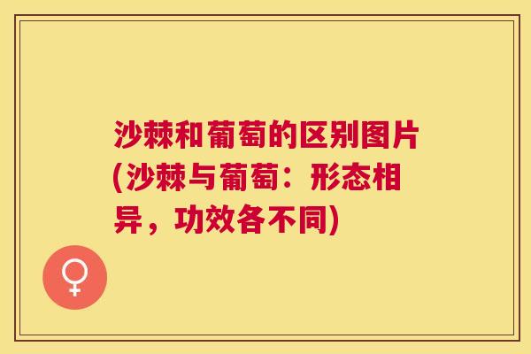 沙棘和葡萄的区别图片(沙棘与葡萄：形态相异，功效各不同)