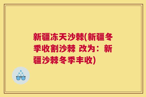 新疆冻天沙棘(新疆冬季收割沙棘 改为：新疆沙棘冬季丰收)