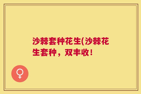 沙棘套种花生(沙棘花生套种，双丰收！