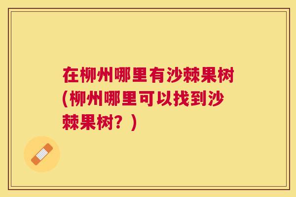 在柳州哪里有沙棘果树(柳州哪里可以找到沙棘果树？)