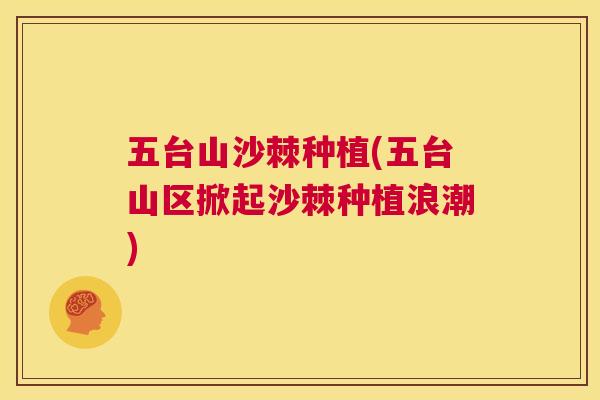 五台山沙棘种植(五台山区掀起沙棘种植浪潮)