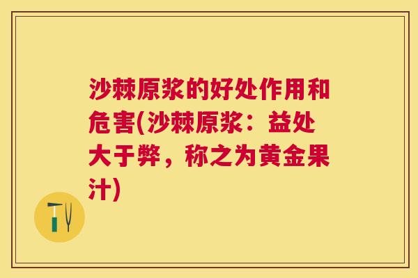 沙棘原浆的好处作用和危害(沙棘原浆：益处大于弊，称之为黄金果汁)