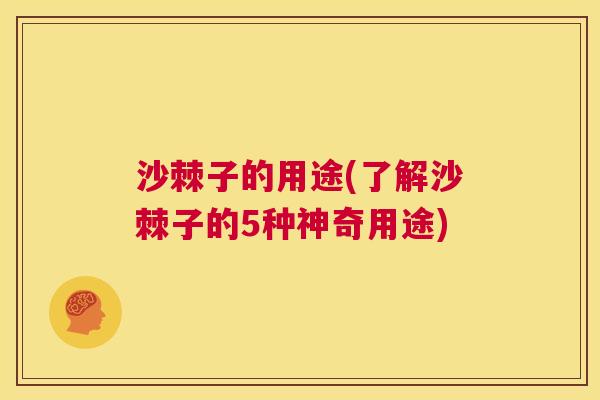 沙棘子的用途(了解沙棘子的5种神奇用途)