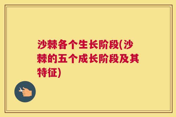 沙棘各个生长阶段(沙棘的五个成长阶段及其特征)