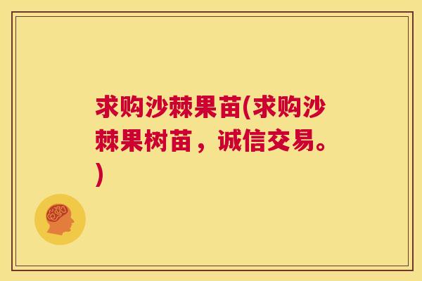 求购沙棘果苗(求购沙棘果树苗，诚信交易。)