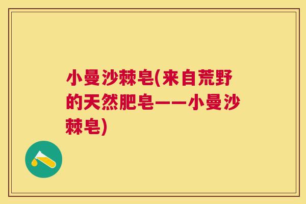 小曼沙棘皂(来自荒野的天然肥皂——小曼沙棘皂)