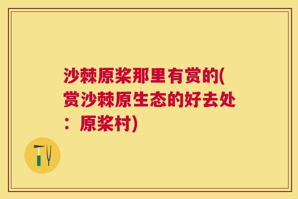 沙棘原桨那里有赏的(赏沙棘原生态的好去处：原桨村)