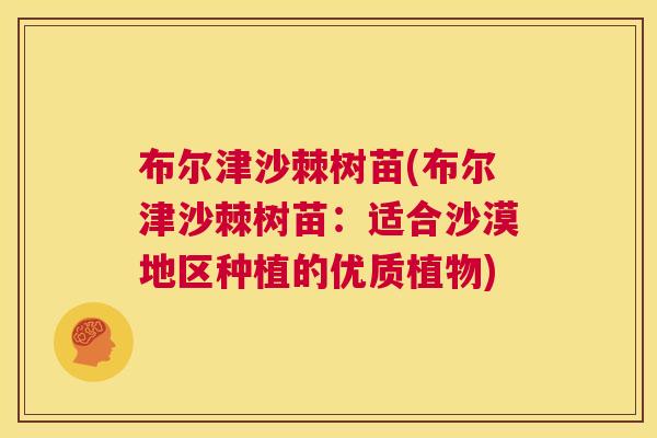 布尔津沙棘树苗(布尔津沙棘树苗：适合沙漠地区种植的优质植物)