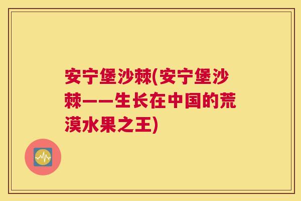 安宁堡沙棘(安宁堡沙棘——生长在中国的荒漠水果之王)