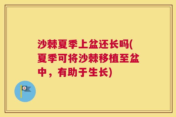 沙棘夏季上盆还长吗(夏季可将沙棘移植至盆中，有助于生长)