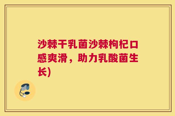 沙棘干乳菌沙棘枸杞口感爽滑，助力乳酸菌生长)