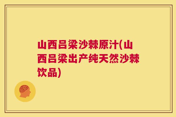 山西吕梁沙棘原汁(山西吕梁出产纯天然沙棘饮品)